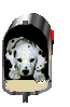 image00306